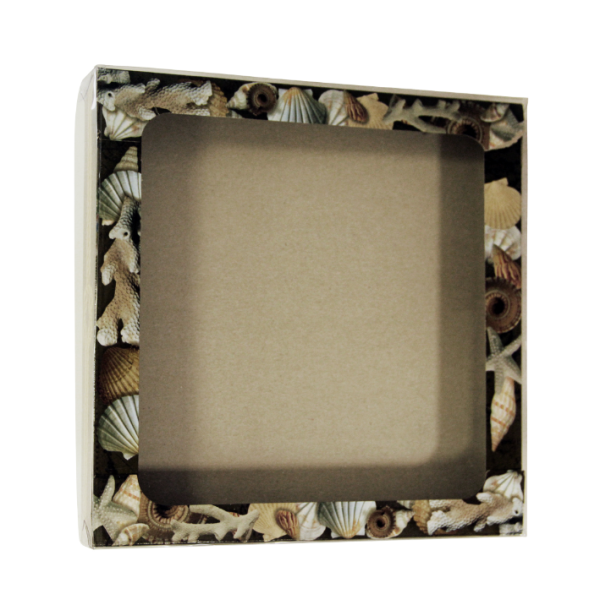 Упаковка с окошком "Ракушка" 260х30х260 мм