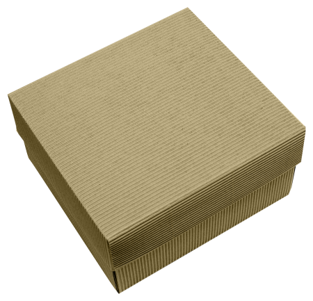 Прямоугольная подарочная коробка из рельефного картона 200х220х120 мм