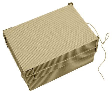 Прямоугольная подарочная коробка из рельефного картона 150х220х120 мм