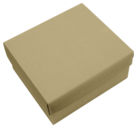 Прямоугольная подарочная коробка из рельефного картона 250х220х120 мм