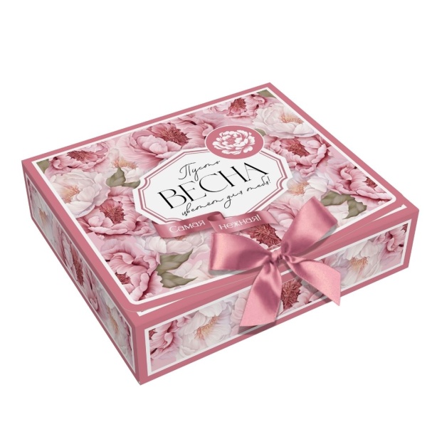 Упаковка "Комплимент" 700 гр 20x17х5.2см